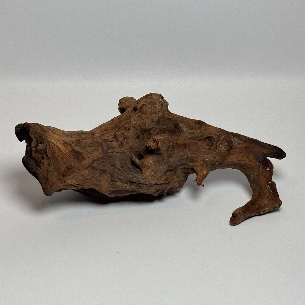 Natural Driftwood Root Sculpture Aquarium Aquascape Terrarium Wood 9.5